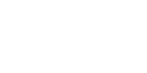 bloom blossom